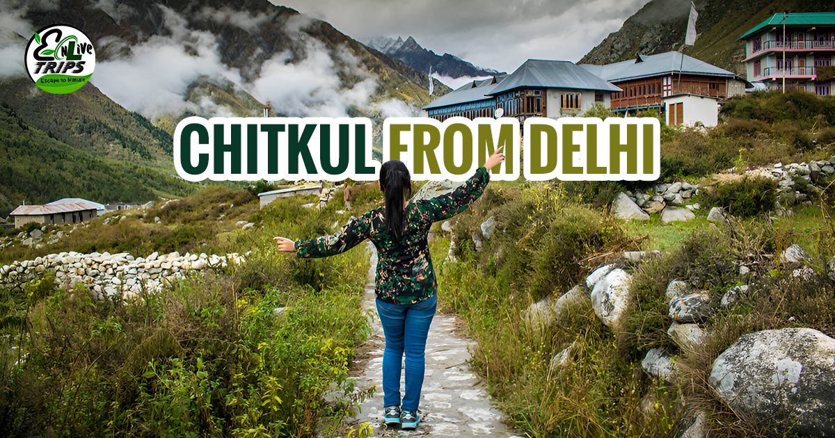 Chitkul from Delhi